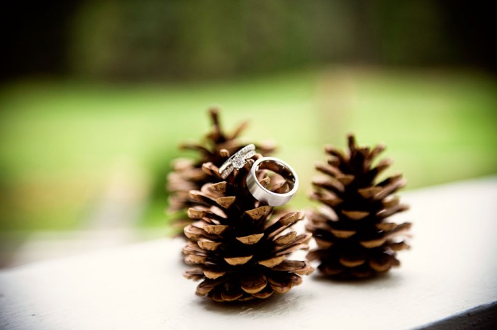 Rings on Pinecones Rings on Pinecones