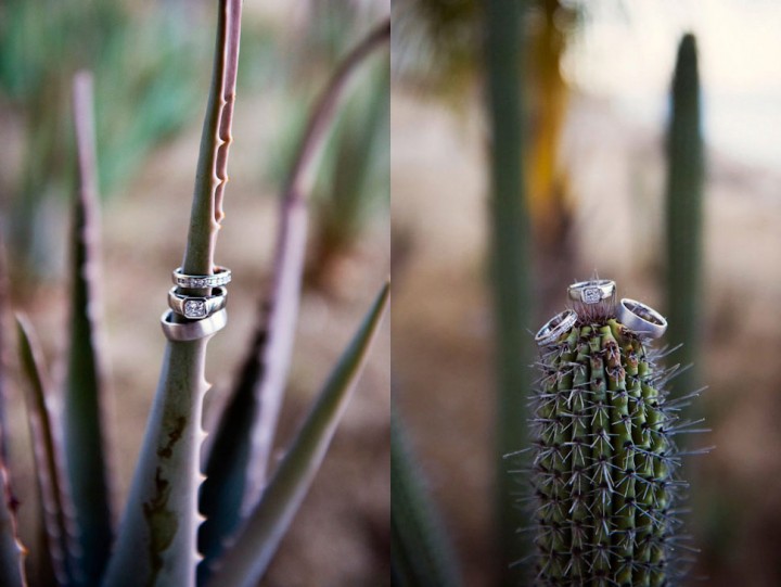 Rings on Cactus Rings on Cactus