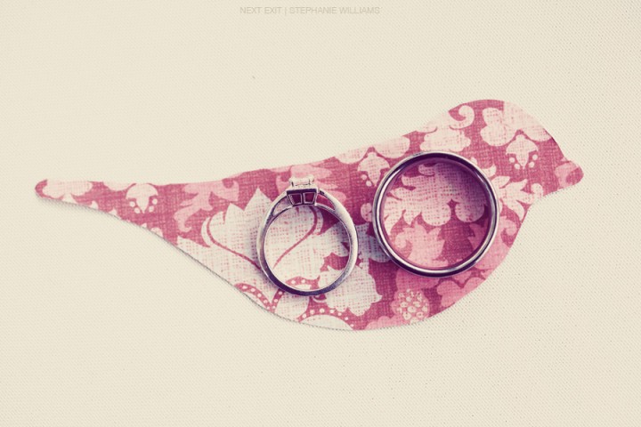 Rings on Bird Rings on Bird