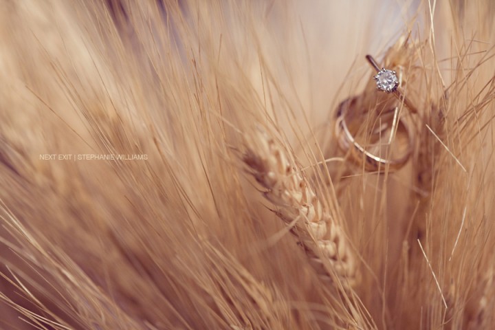 Rings on Wheat Rings on Wheat