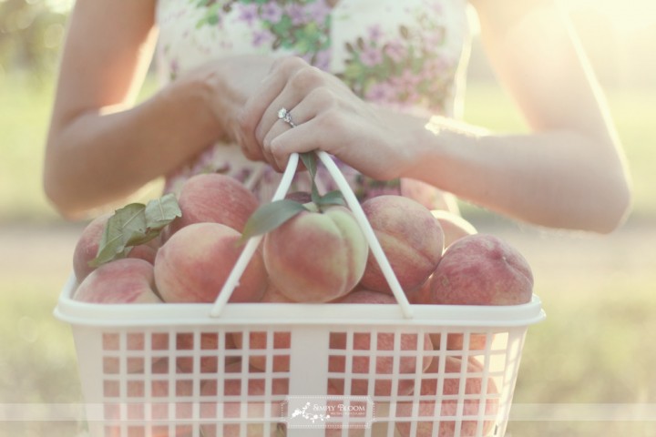Basket of Peaches