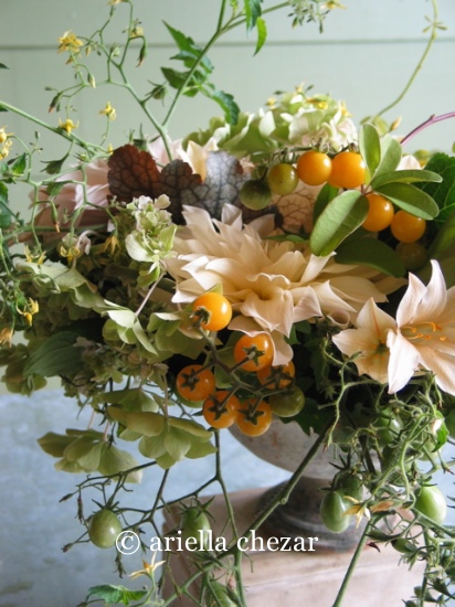 yellow tomatoes 6a00e5503c88988833011570f9ef61970b-800wi