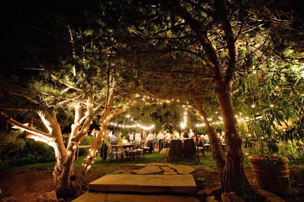 classic san diego wedding, garden reception, cafe lights, reception