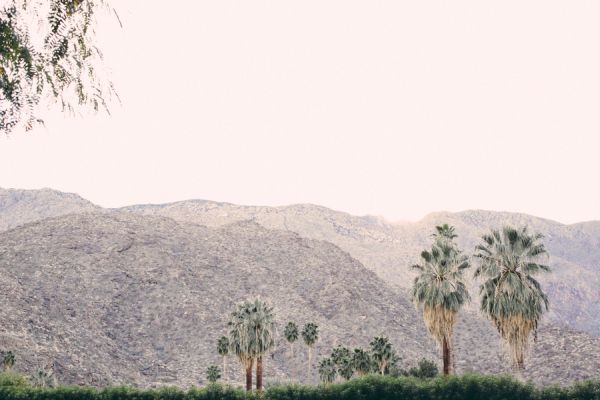 palm springs wedding, palm trees, mountains, skyline
