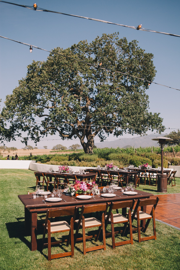 vineyard, reception, tables, exposed light bulbs, trees, table setting