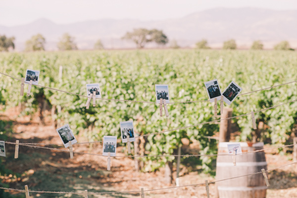polaroids, black and white, vineyard, barrels, old school