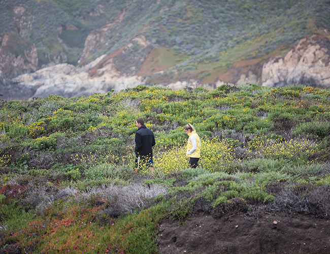 Big Sur Proposal