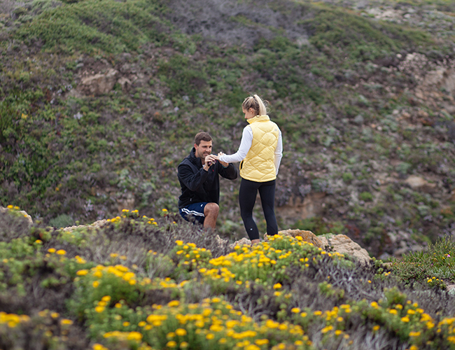 Big Sur Proposal