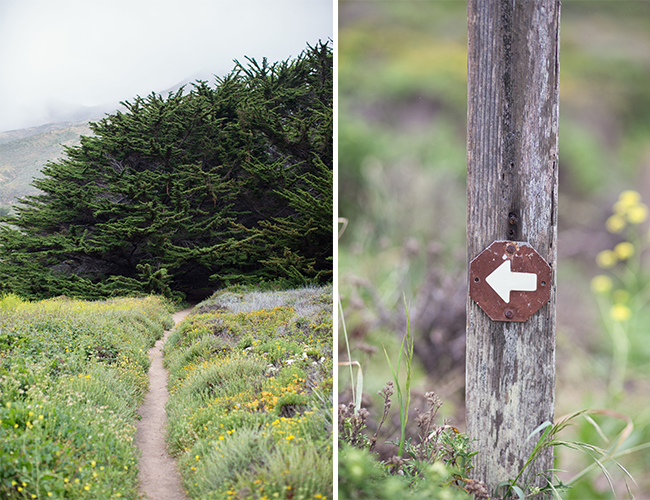 Big Sur Proposal