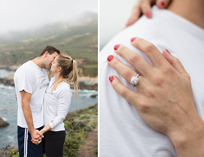 Big Sur Proposal