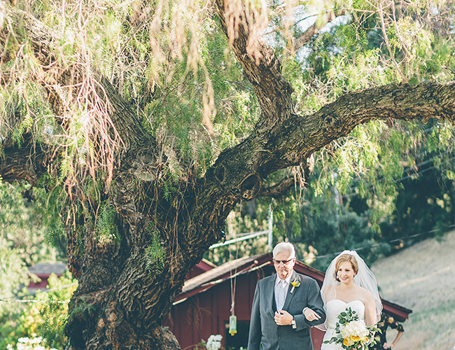 Yellow Vineyard Wedding - Wedding Blog