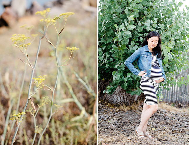 Coastal Striped Maternity Session - Baby Blog