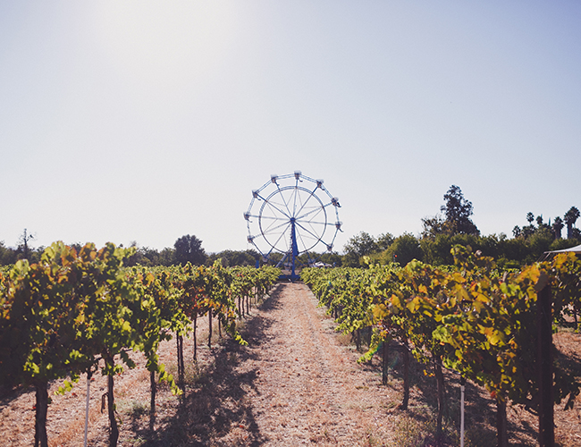Bear Flag Farm Wedding