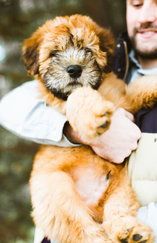 Adorable Wisconsin Anniversary Shoot - Inspired by This