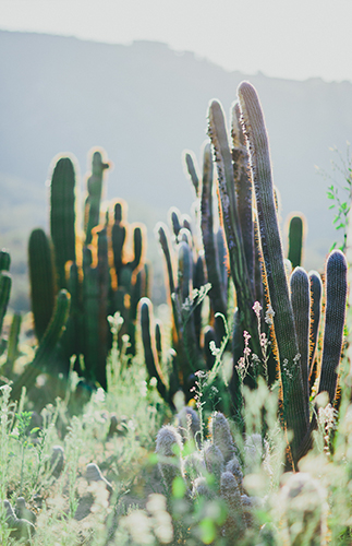 Desert Engagement Session - Inspired by This