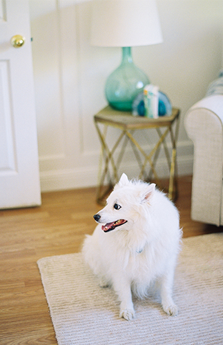 Pastel Pink & Yellow Nursery - Inspired by This