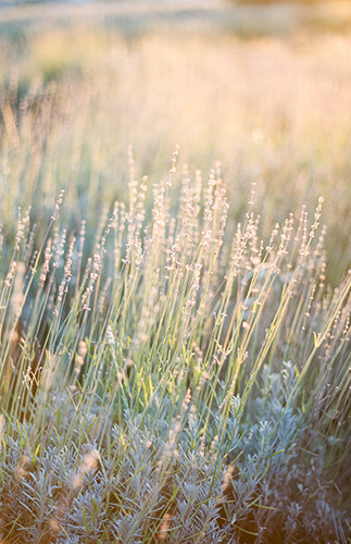 Gold Ethereal Wedding Inspiration - Inspired by This