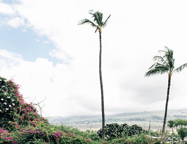 Pastel Four Seasons Maui Wedding - Inspired by This