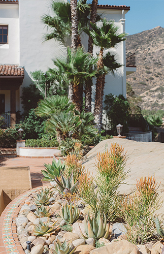 Navy & Orange Hummingbird Nest Ranch Wedding - Inspired by This