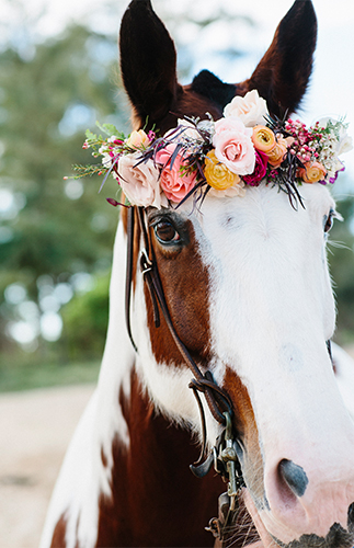 Romantic Pink Hawaii Beach Elopement - Inspired by This