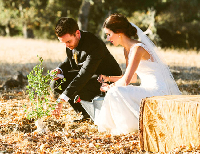 How to Have an Eco-Friendly Wedding - Inspired by This