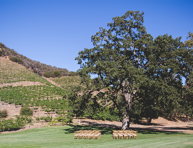 Romantic Glam Wedding at Triunfo Creek Vineyards - Inspired by This