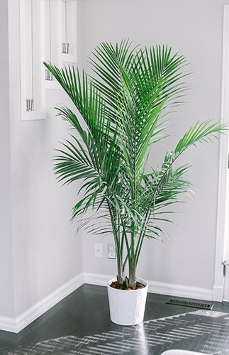 A Style Blogger's Neutral Home Tour - Inspired by This