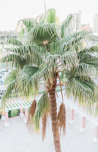 Tropical Florida Wedding Inspiration - Inspired by This