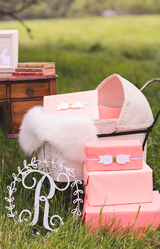 Rustic Pink Farm Baby Shower - Inspired by This