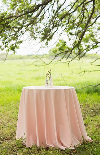 Rustic Pink Farm Baby Shower - Inspired by This