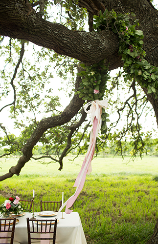 Rustic Pink Farm Baby Shower - Inspired by This