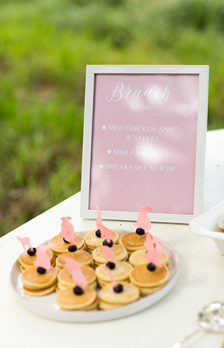 Rustic Pink Farm Baby Shower - Inspired by This