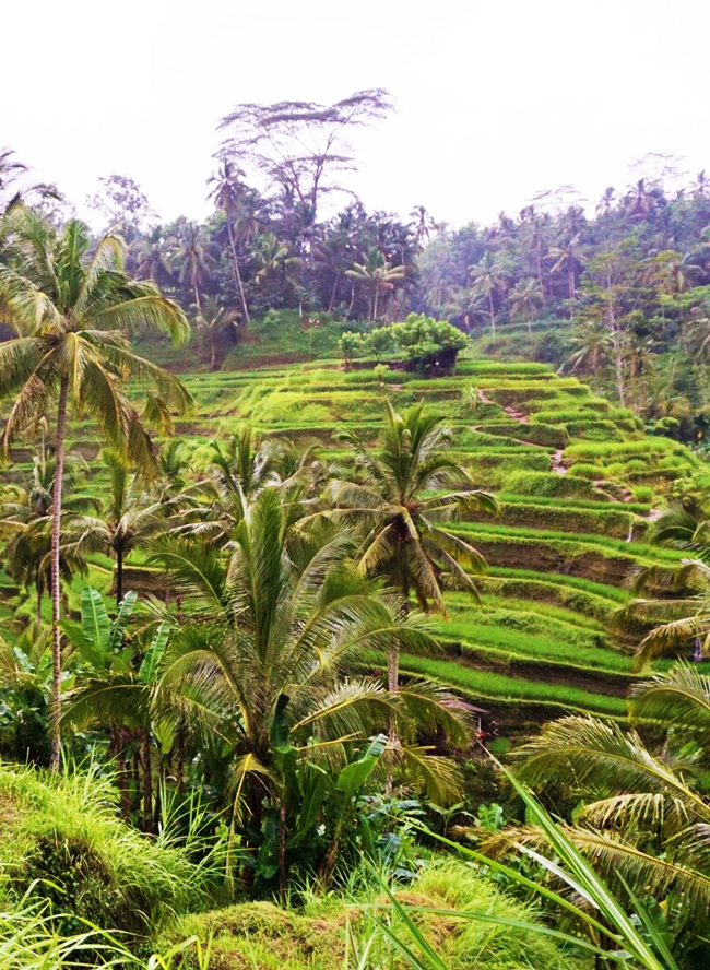 Our Travel Guide to Bali, Indonesia - Inspired by This