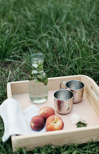 Family Picnic Photos on a Farm - Inspired by This