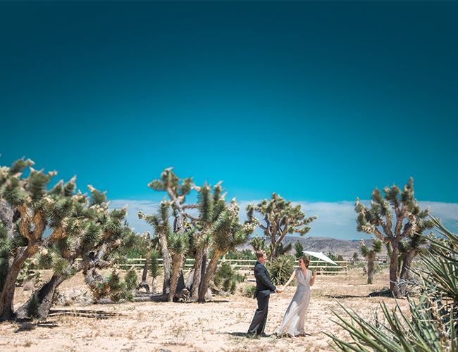 27 Ways to Acheive a Trendy Desert Wedding - Inspired by This