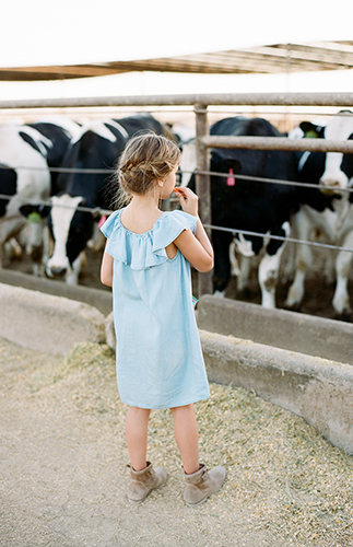 Farm Family Photos - Inspired by This