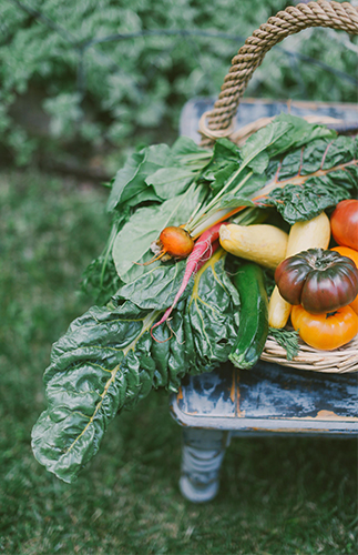 Backyard Farm to Table Dinner Party - Inspired by This