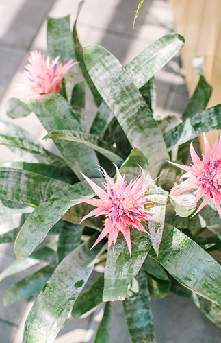 Pink & Yellow Tropical Bridal Shower - Inspired by This