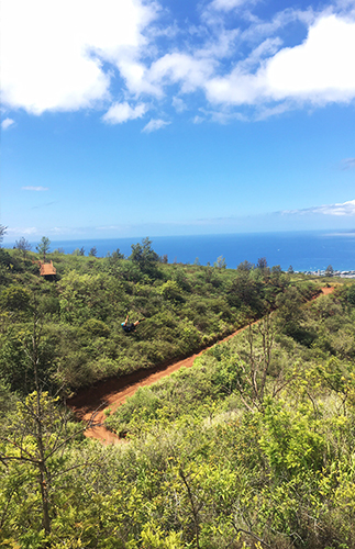 Honeymoon Hotspot: Westin Maui Ka'anapali