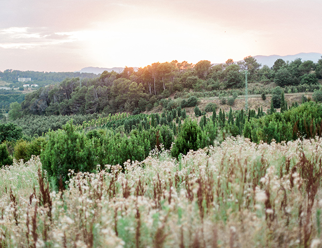 Countryside Engagement Photos in Barcelona, Spain - Inspired by This