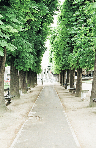 Parisian Engagement Photos in Luxembourg Garden - Inspired by This