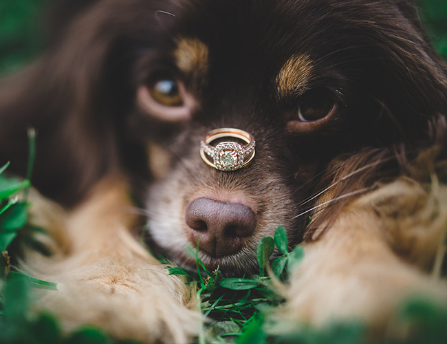 Vintage Fall Wedding Inspiration in Alabama - Inspired by This