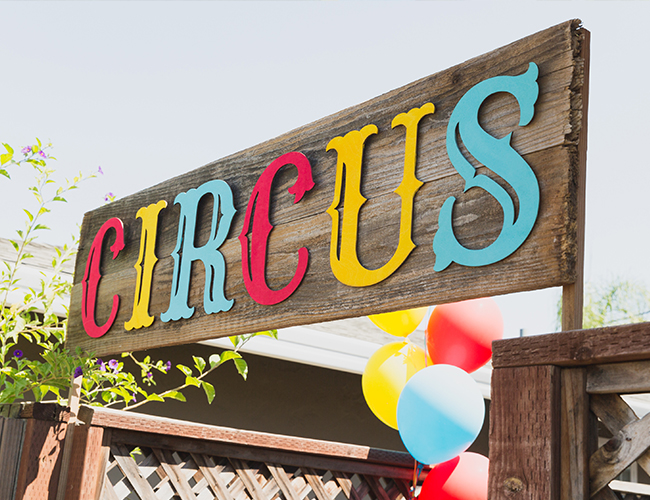 Animal Circus Themed First Birthday Party - Inspired by This