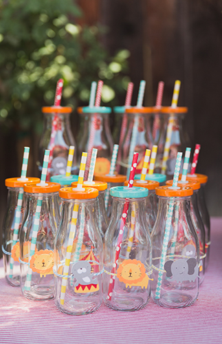 Animal Circus Themed First Birthday Party - Inspired by This