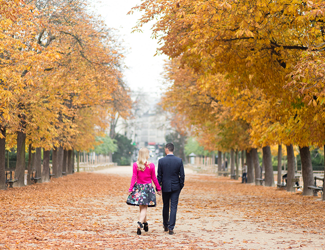 A Surprise Proposal in Paris - Inspired by This