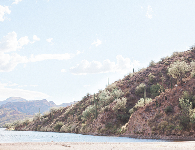 Lakeside Engagement with Wild Horses - Inspired by This