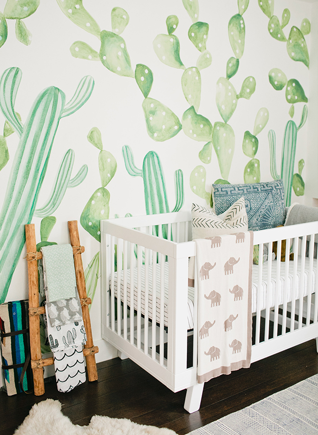 Cactus clearance themed nursery