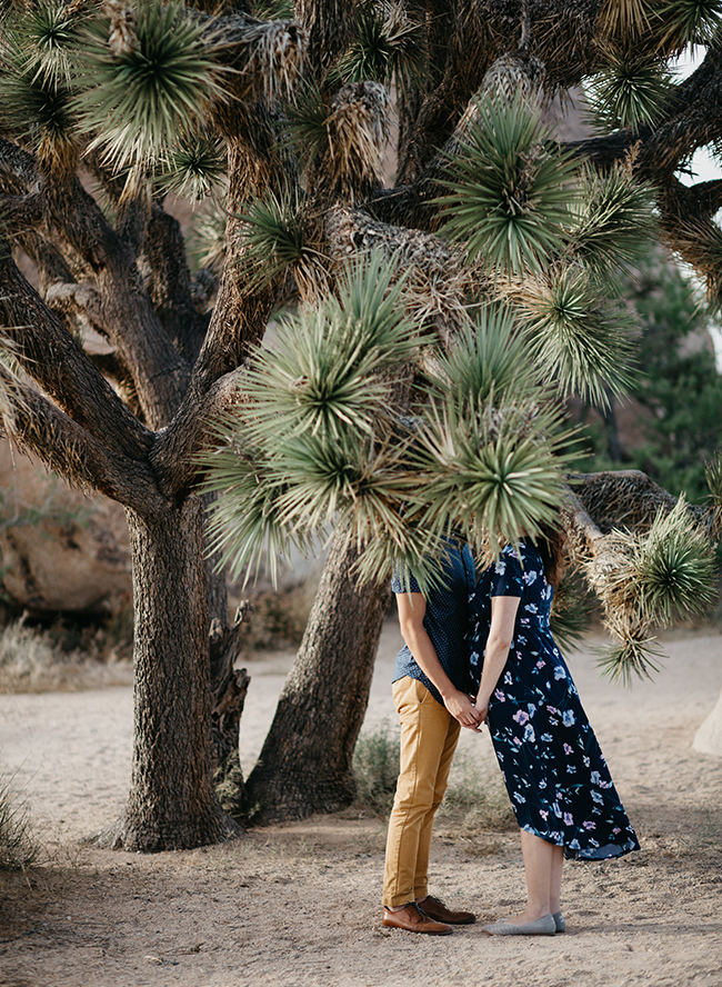 Joshua Tree Maternity