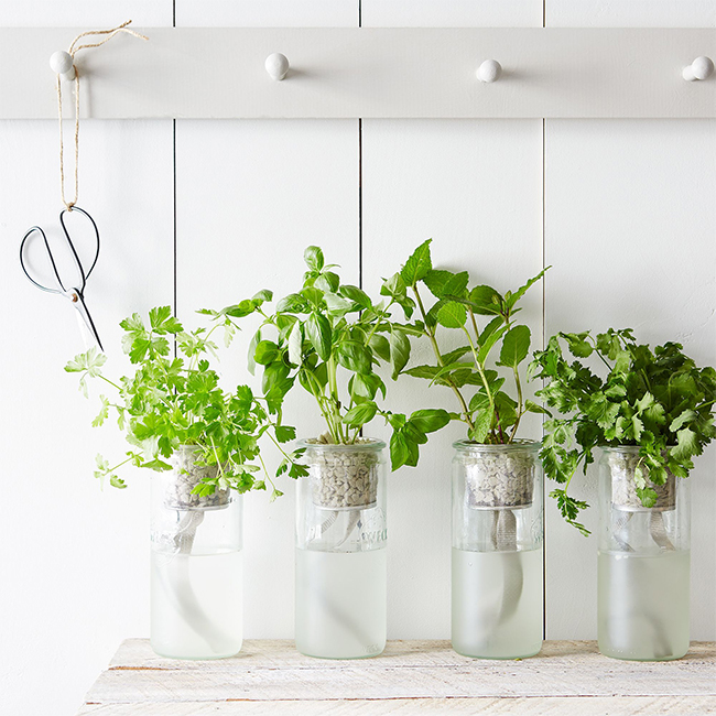 indoor herb garden