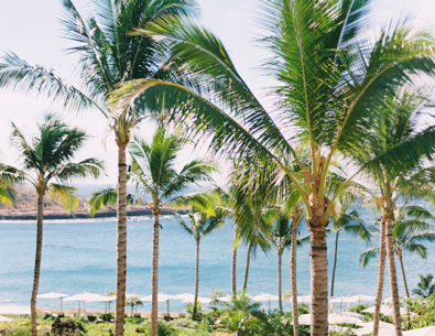 Travel Guide to Maui, Hawaii